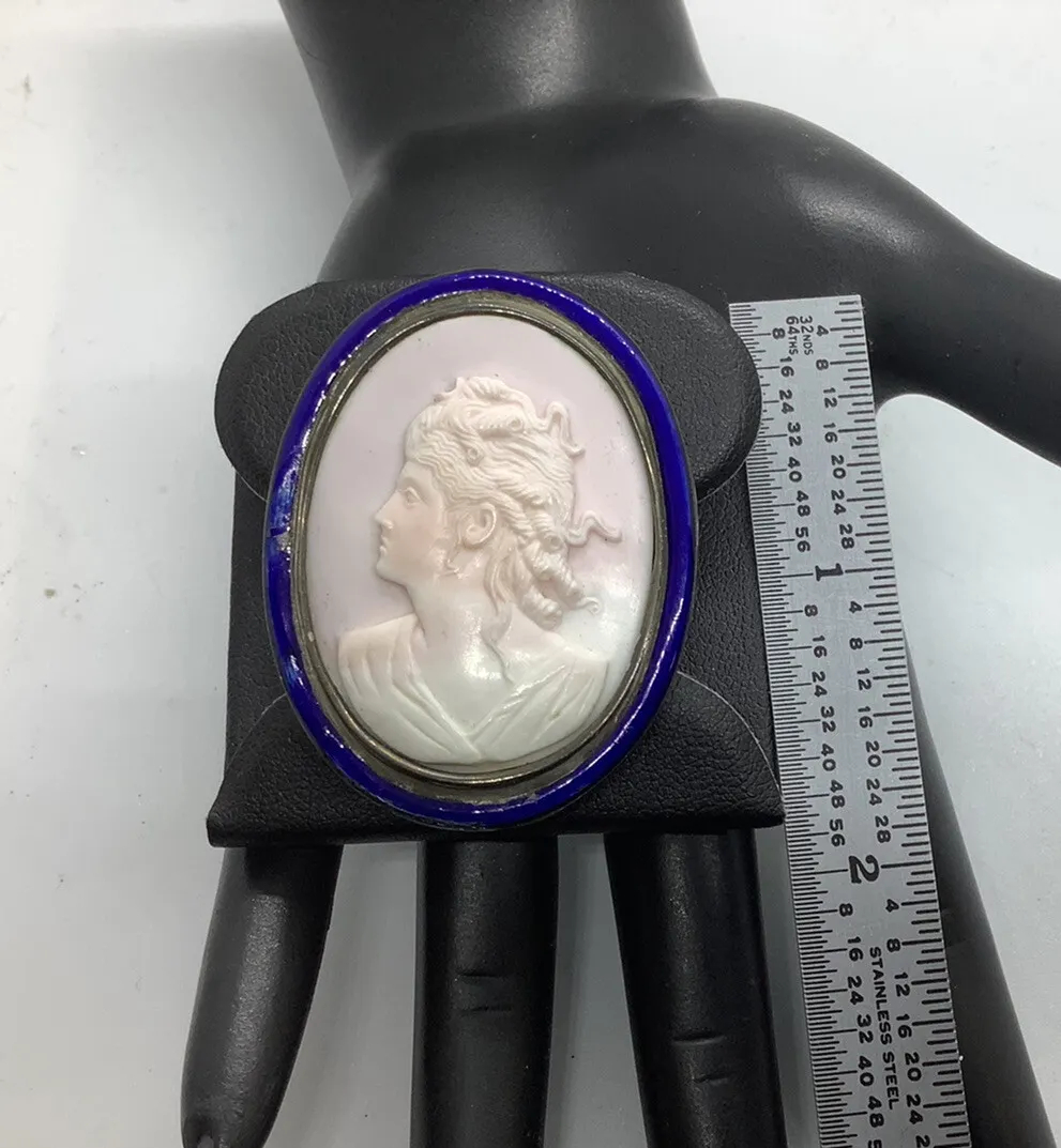 Antique, Rose Coral, French Enamel, Cameo Victorian Brooch - Image 7